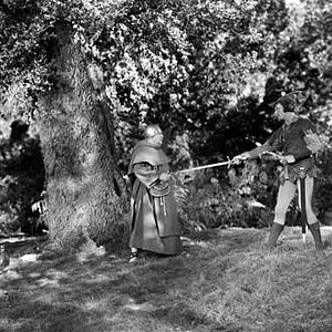 Foto Robin de los Bosques