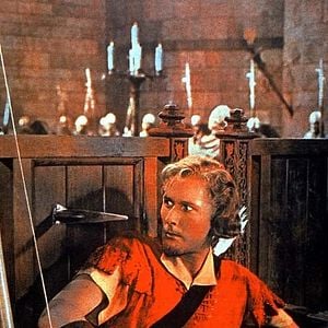 Foto Robin de los Bosques