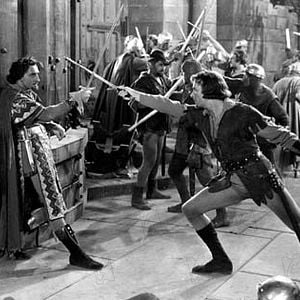 Foto Robin de los Bosques