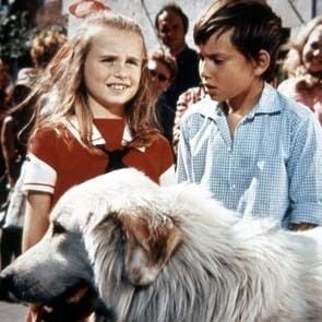 Foto Mehdi El Glaoui