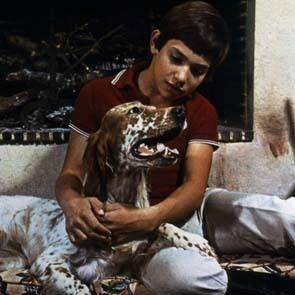 Foto Mehdi El Glaoui