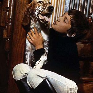 Foto Mehdi El Glaoui