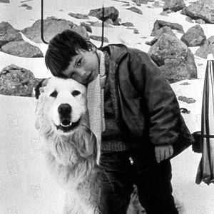 Foto Mehdi El Glaoui