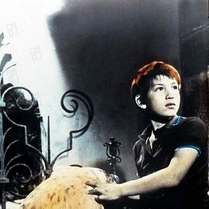 Foto Mehdi El Glaoui