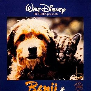 Foto Cuatro cachorros para salvar