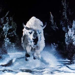 Foto Jack Lee Thompson