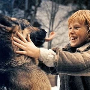 Foto Colmillo blanco