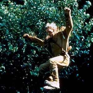 Foto Vuelve Colmillo Blanco