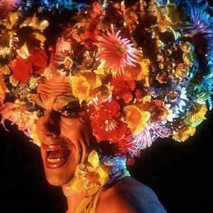 Foto Stephan Elliott