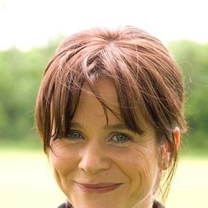 Foto Luciérnagas en el jardín