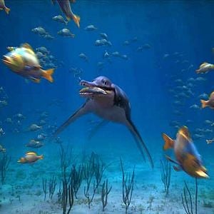 Foto Sean MacLeod Phillips