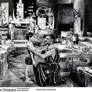 Foto Tierra de faraones