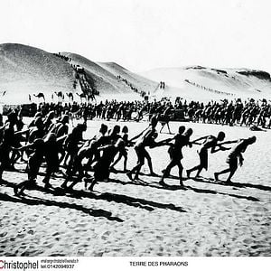 Foto Tierra de faraones