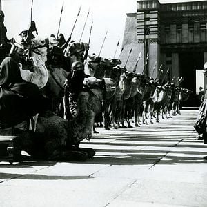 Foto Tierra de faraones