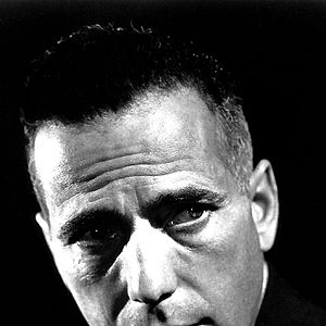 Foto El último refugio