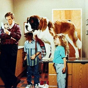 Foto Beethoven: Uno más de la familia