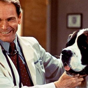 Foto Beethoven: Uno más de la familia