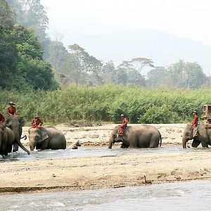 Foto Olivier Horlait