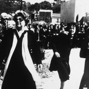 Foto Simone Signoret