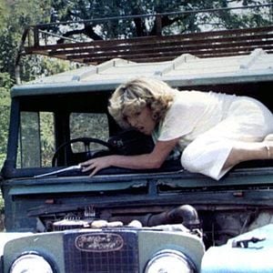 Foto Los dioses deben estar locos