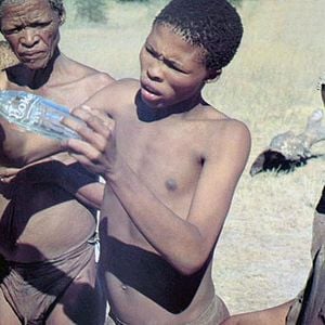 Foto Los dioses deben estar locos