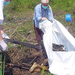 Foto Alison Thompson