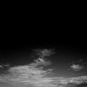 Foto El cant dels ocells