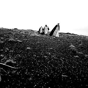 Foto El cant dels ocells