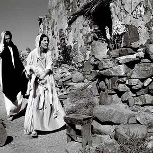 Foto El cant dels ocells