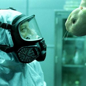 Foto Splice. Experimento mortal