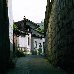 Foto Teona S. Mitevska