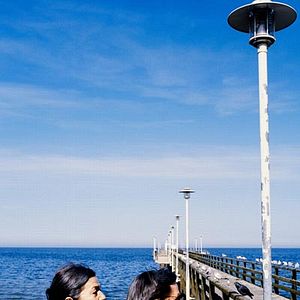 Foto Cerezos en flor