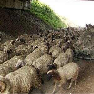 Foto Esmeralda Calabria