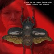 Foto Lágrimas de Wayronco