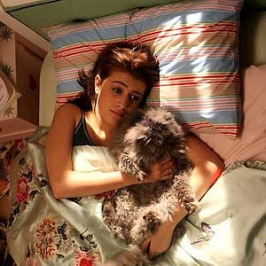 Foto Mi gato Angus, mi primer morreo y el plasta de mi padre