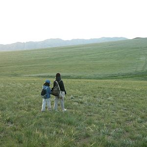 Foto Sueños del desierto