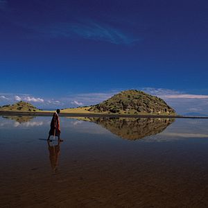 Foto Disneynature. Crimson Wing