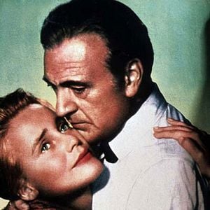 Foto El árbol del ahorcado