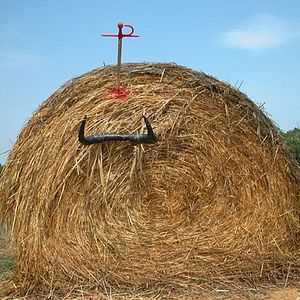 Foto Daniel Villamediana