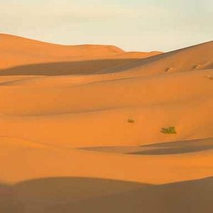 Foto Prince of Persia: Las arenas del tiempo