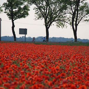 Foto En el séptimo cielo