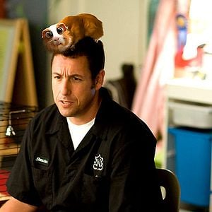 Foto Más allá de los sueños