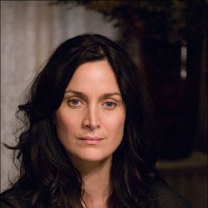 Foto Luciérnagas en el jardín