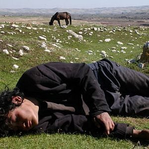 Foto El caballo de dos piernas