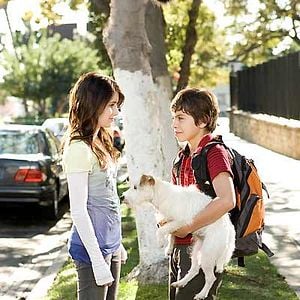 Foto Hotel para perros