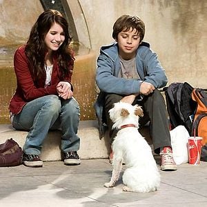 Foto Hotel para perros