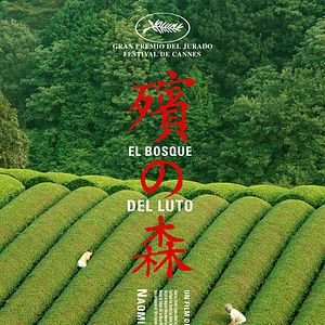 Foto El bosque del luto