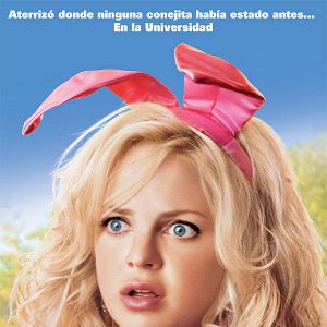 Foto Una conejita en el campus