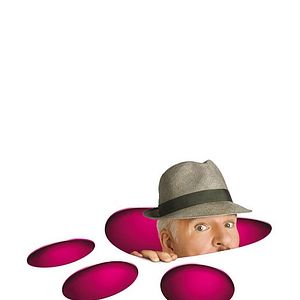 Foto La pantera rosa 2