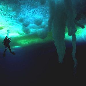 Foto Encuentros en el fin del mundo